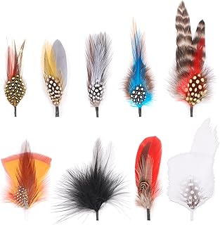 Hat Feathers, 10 Pcs Assorted Natural Feather Packs Accessories for Fedora, Cowboy, Open Road, Borges, Scott, Trilby Hats