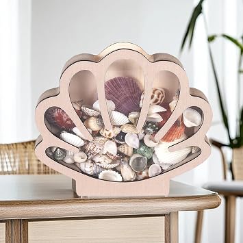 Shell Display Case Wooden Seashell Holder Case