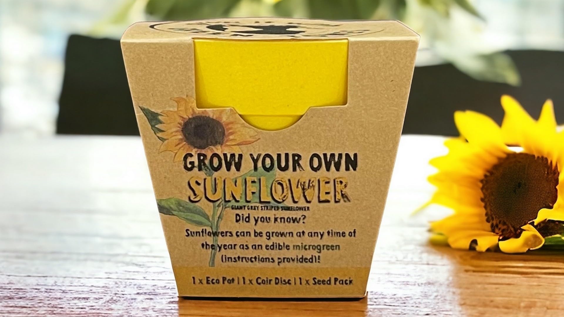 25 x Grow Your Own Sunflower Seed Kits - Bulk Pack - Gardening Gardener Christmas Gifts Stocking Fillers - Kid Childrens Educational Forest School Activity - Reusable Eco Pots (8cm) & Extra Seeds