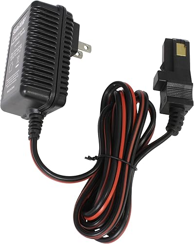 Cargador para ruedas de alimentación (12 V, batería gris y batería superior naranja)