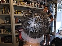 Review Image by Buckaroobanzai55 Buckaroobanzai55