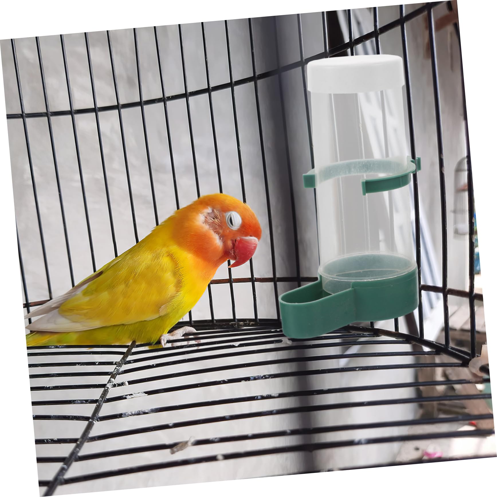 20stücke Teiliges Automatisches Vogel-wasserspender Käfige Futterspender Für Wellensittiche Nymphensittiche Kanarienvögel Und Andere Vogelarten Einfache Nachfüllung