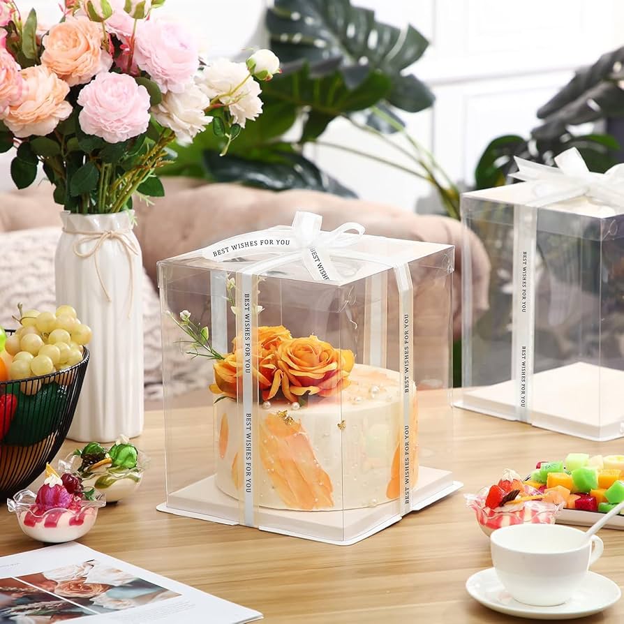 Warmiehomy Clear Cake Box 10 Inch Plastic Cake Box With Lid & Ribbon