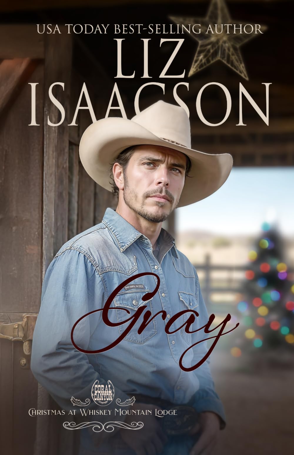 Gray: Un Romanzo dei Fratelli Hammond (Natale al Lodge di Monte Whiskey)