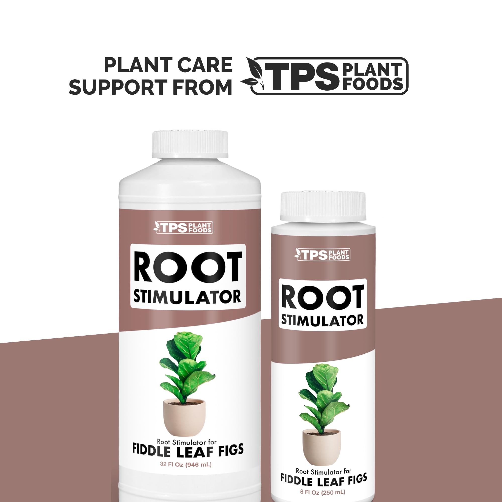 Amazon.com : Root Stimulator for Fiddle Leaf Fig  Liquid Root Supplement  with Kelp & Probiotics for Stronger Roots & Better Leaf Growth, 8 oz :  Patio, Lawn & Garden