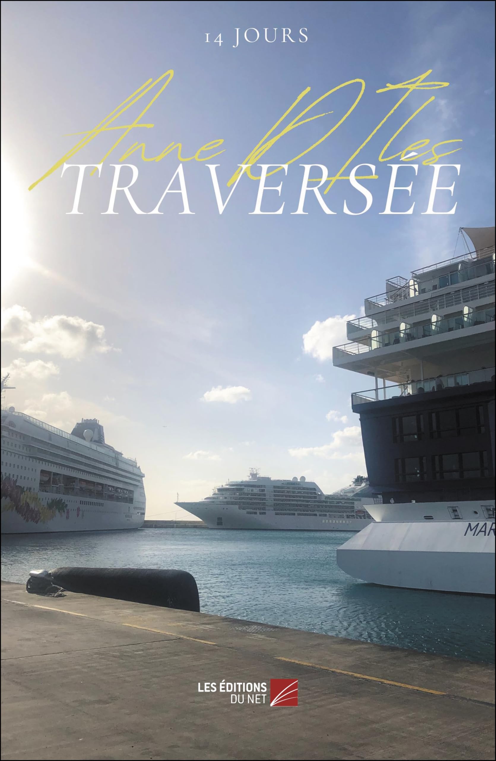 Traversée: De Pointe à Pitre à Marseille