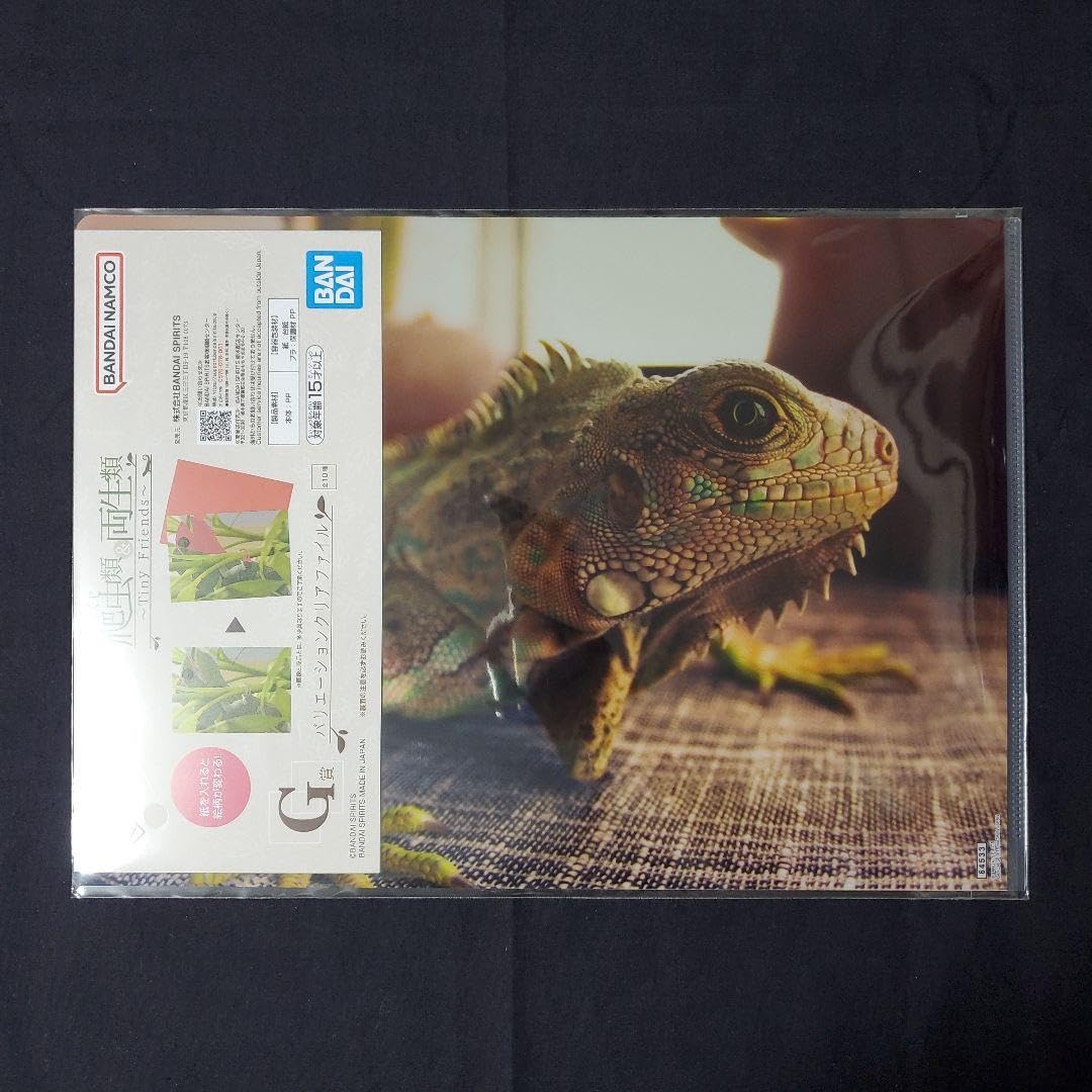 Amazon.co.jp: 一番くじ 爬虫類 両生類 Tiny Friends クリア