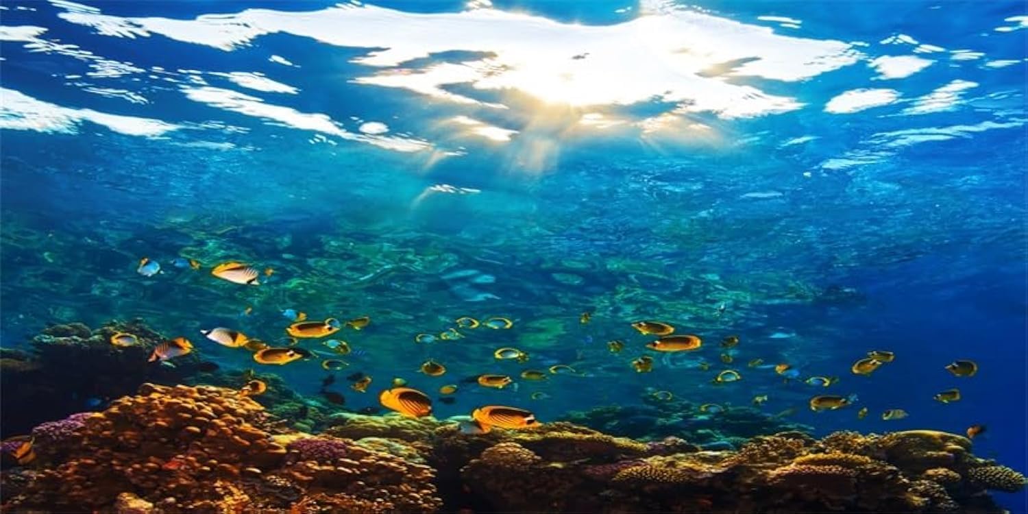 YongFoto Ocean Theme Fish Tank Background 48x18 inch Seaweed Coral Reef Rock Seafloor Tropical Fish Underwater Sea World Polyester Backdrop Reptile