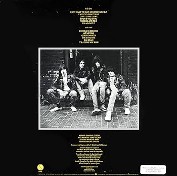 洋楽 THE RAMONEZ Ramones – Ramones – Vinyl (LP, Album, Stereo), 1976