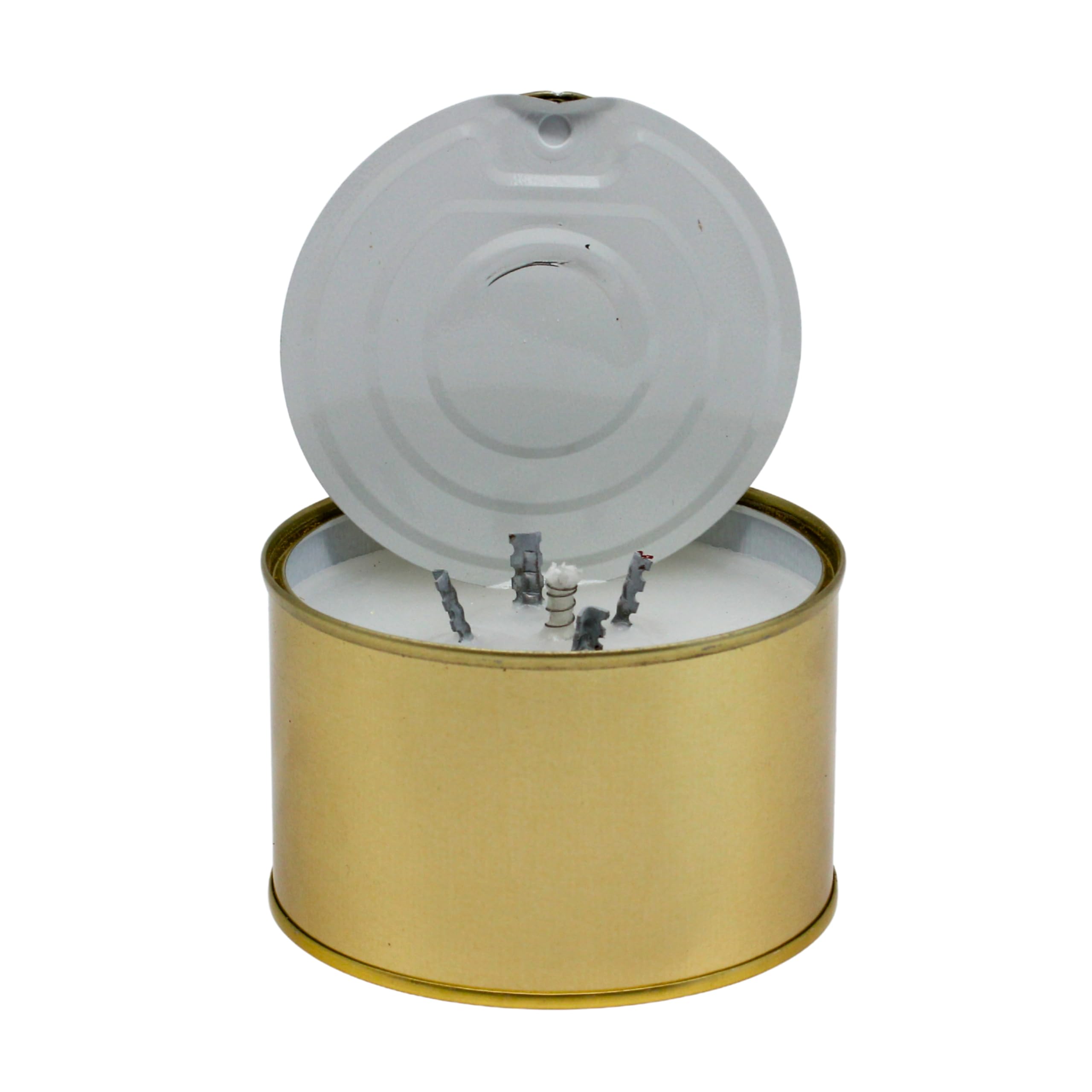 Schwabenfire Outdoor Kerze mit 100% natürlichem Citronella ÖL + 1KG Wachs Dosenkerze Kerzabix Reisekerze Camping Kerzen Geschenke für Frauen Windlicht Großekerze Großes Teelicht Schwabenfeuer