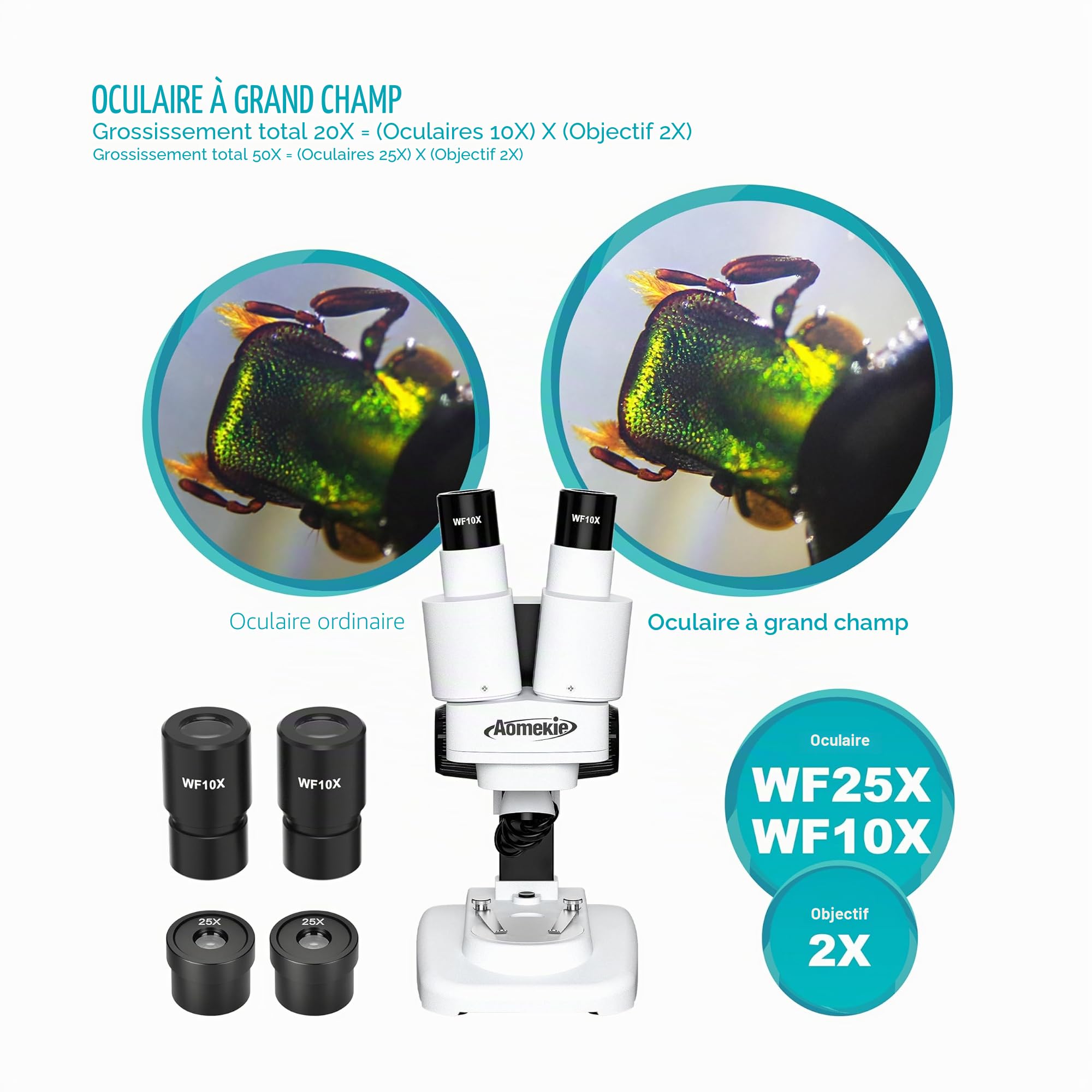 Aomekie Microscope Stéréo 20X/50X, Loupe Binoculaire 3D avec Lames de Verre, Échantillons de Minéraux et Spécimens, pour Juniors et Étudiants