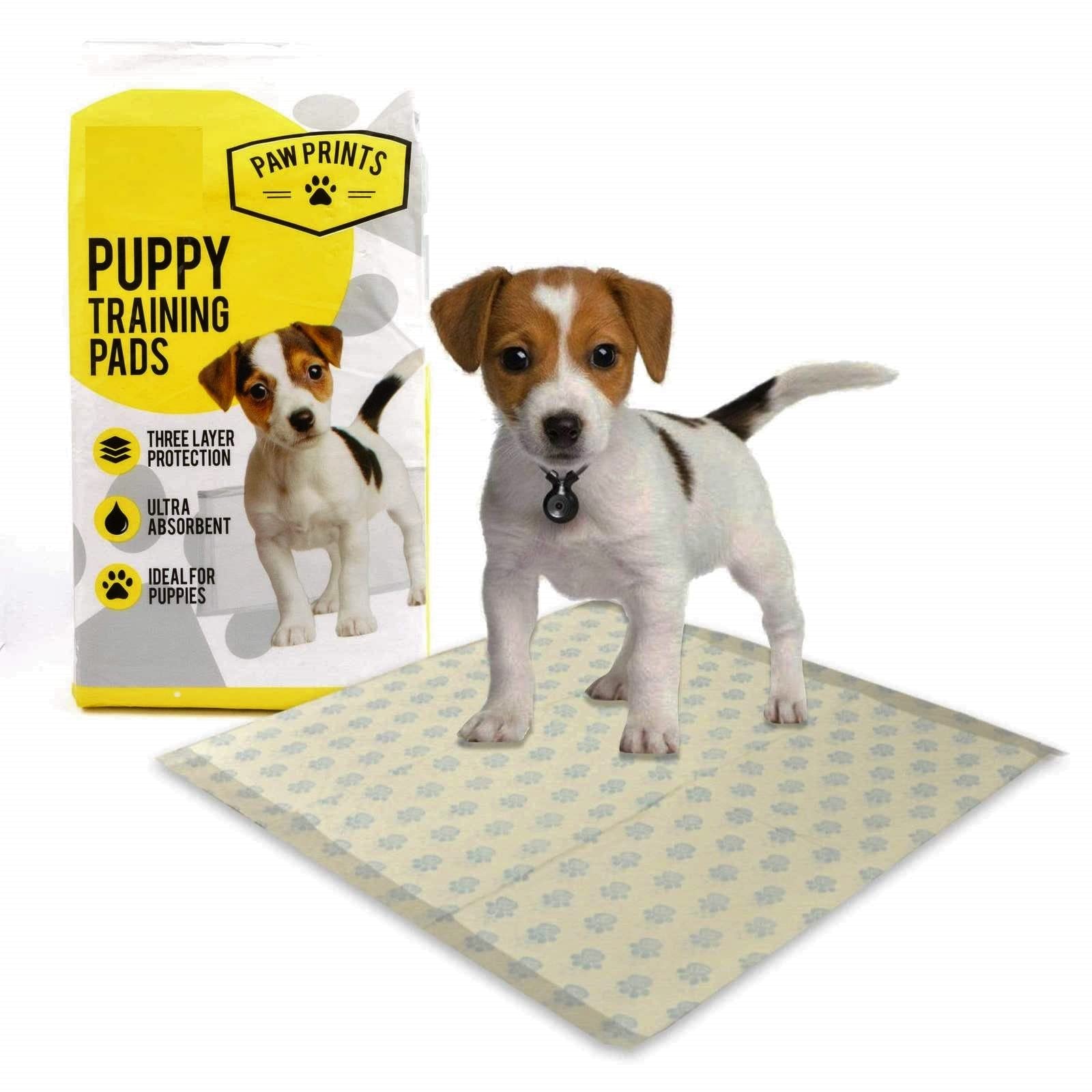 Paw Prints 100 X DOG PUPPY HOUSE LARGE ABSORBENT TRAINING TRAINER PADS, transparent