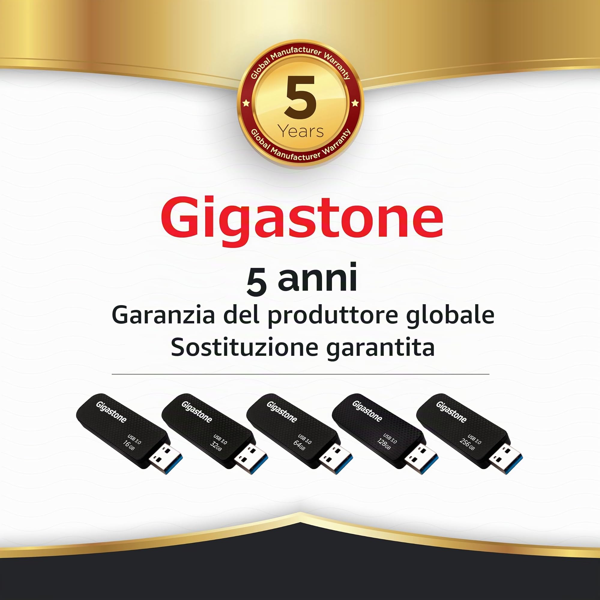 Gigastone Chiavetta USB 256 GB Set da 2, Z30 USB 3.2 Gen 1 Professional Serie, Senza cappuccio con design retrattile, compatibile con interfaccia USB 2.0 / USB 3.0 / USB 3.1