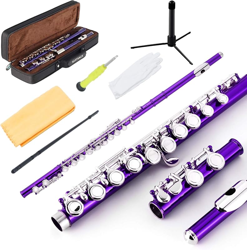 Closed Hole Flutes C 16 Key for Beginner, Kids, Student -Nickel Flute with Case Stand and Cleaning kit (Purple)