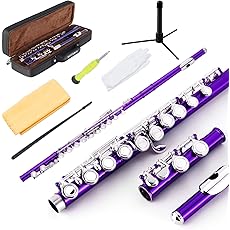 EASTROCK Silver Plated Flute Instrument for Beginner Kids Student，Closed Hole Flutes 16 Keys C Flute with Carrying Case,Stand，Cleaning kit，Gloves，Tuning Rod(Silver Plated)