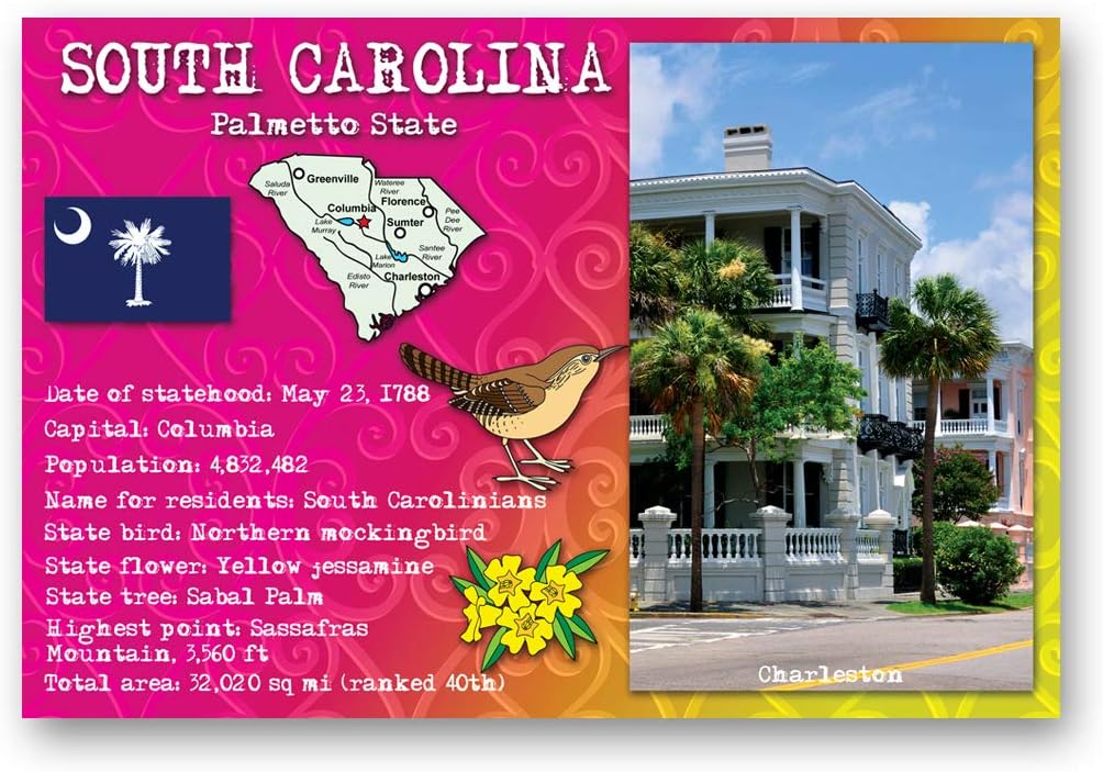 SOUTH CAROLINA STATE FACTS postcard set of 20 identical