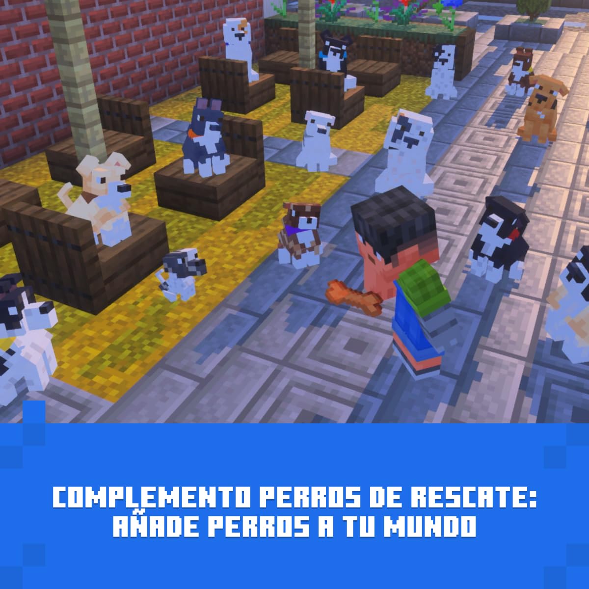 Minecraft: Ultimate Collection | Xbox Series X|S & Xbox One - (Código de descarga)