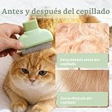 Ver la foto 5