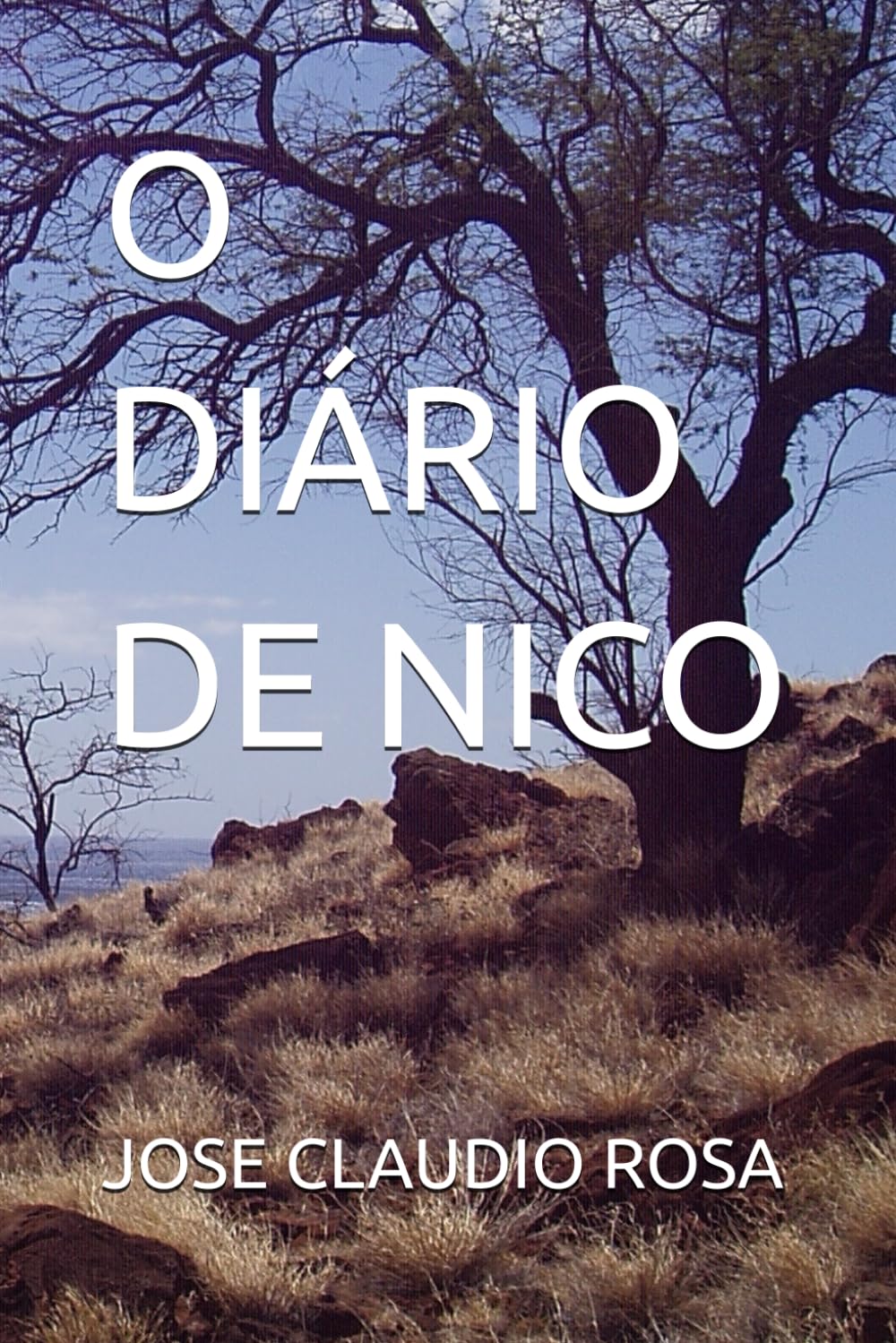 O DIÁRIO DE NICO