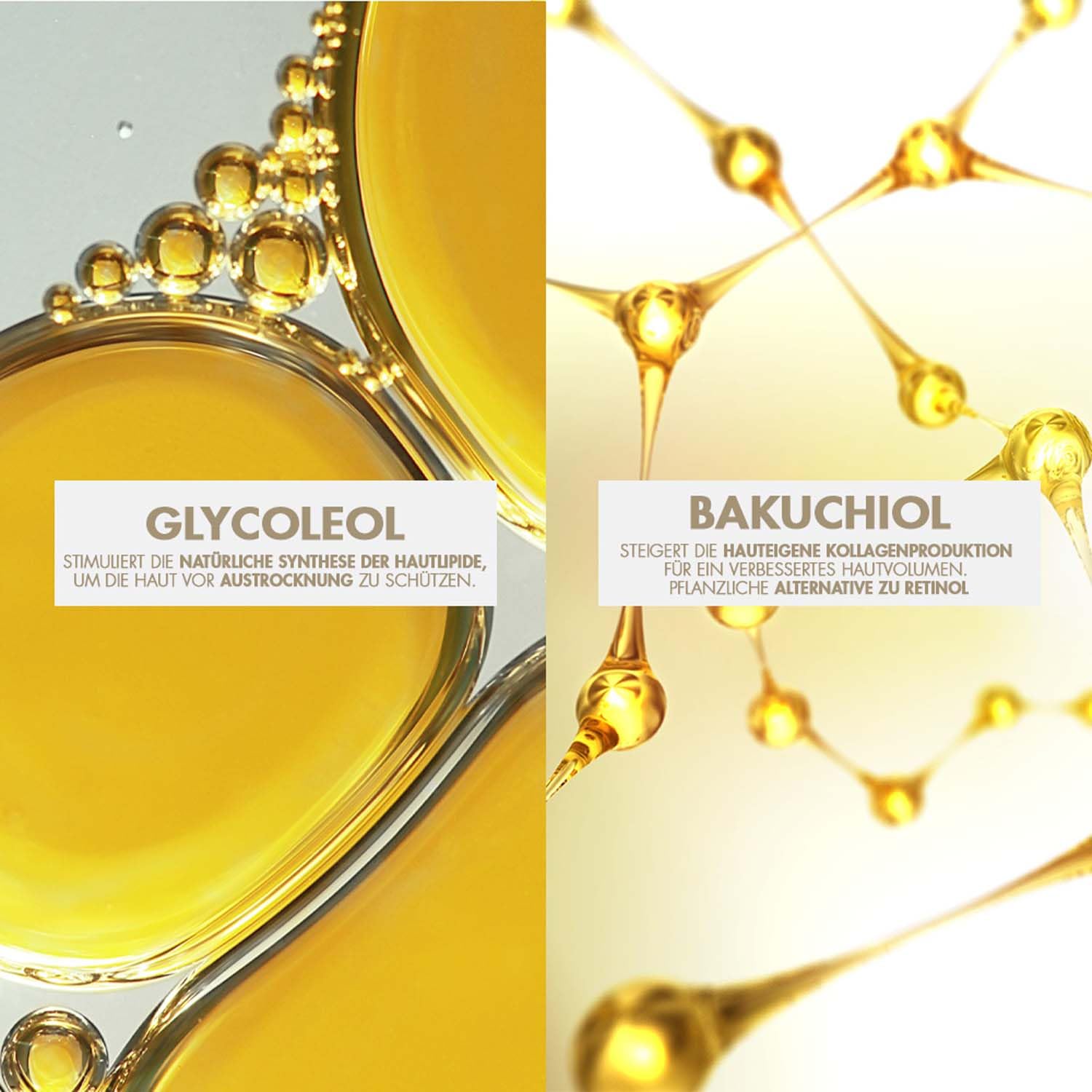 AVÈNE Dermabsolu - Festigende Tagescreme - Anti-Aging, festigt & hydriert - Mit Bakuchiol, Vanille-Polyphenolen & Glycoleol - Reife, empfindliche Haut - Umweltbewusst - 50 ml