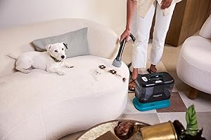 Rowenta Clean It + 2 botellas de solución de limpieza para mascotas (250 ml + 1L), Pack exclusivo, Limpieza rápida de derrames y manchas, Hasta 13,5 kPa, 750 W, Incluye sistema de autolimpieza_3