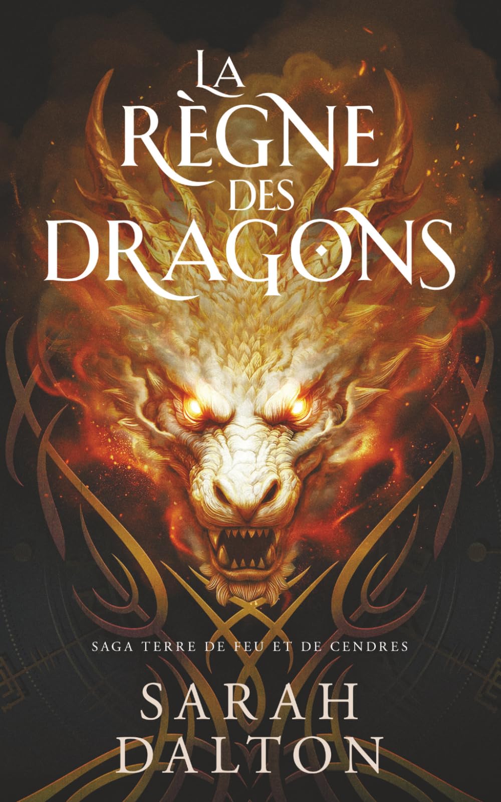 Le Règne des Dragons (Saga Terre de Feu et de Cendres)