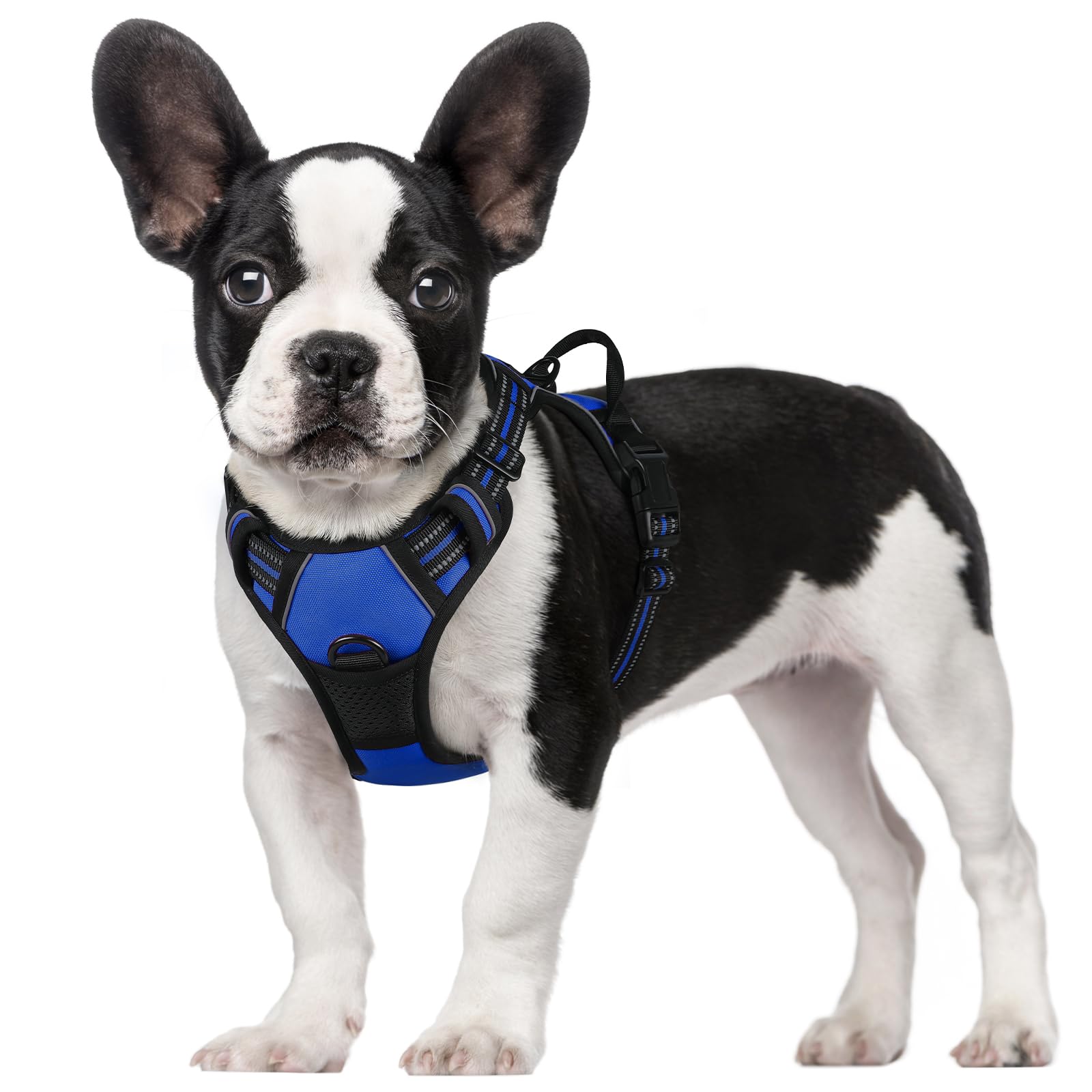 rabbitgoo Pettorina Cane Taglia Piccola, Pettorina Cane ad h Regolabile con 2 Ganci in Metallo, Imbracatura per Cani Anti Tiro Riflettente, Imbracatura Traspirante per Addestramento, Blu, S