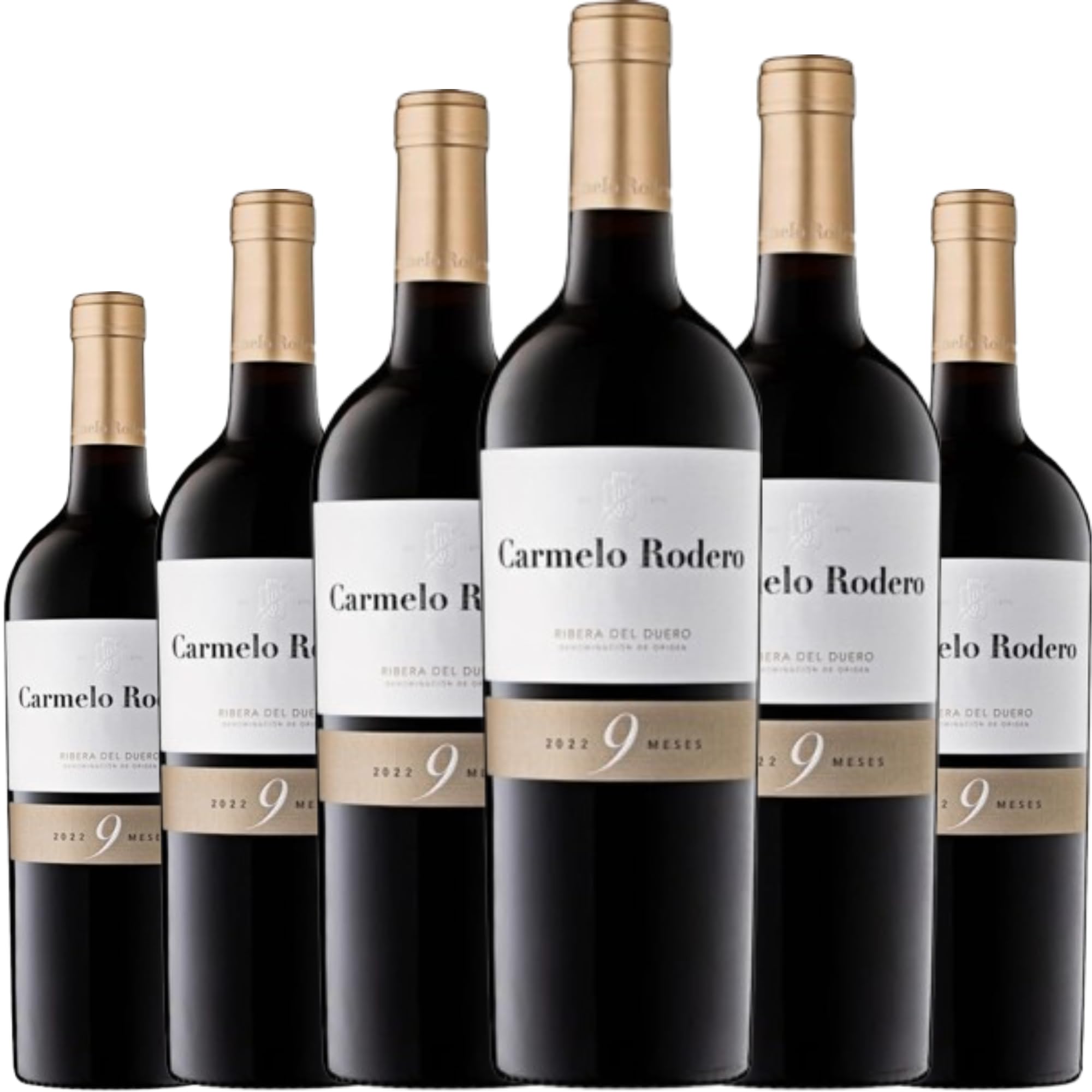 Carmelo Rodero 9 Meses, vino tinto español joven con crianza, elaborado con Tempranillo, ideal para disfrutar intensidad, frescura y equilibrio en cada copa.| 6 botellas