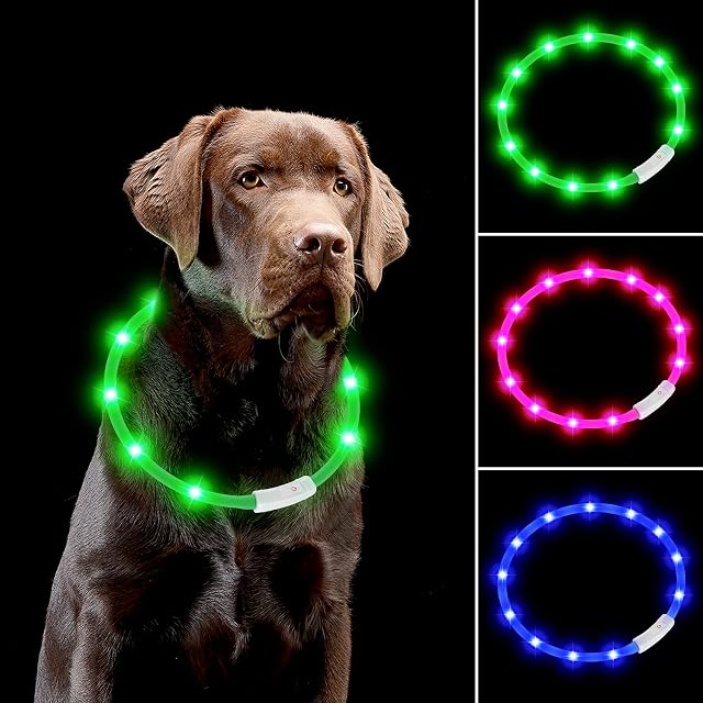 Light Up Dog Collars, LED Dog Collar Lights for Night Time, Dog Lights for Night Walking, USB Rechargeable Dog Collar Light Reflective Dog Collar for Small Medium Large Dogs