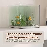 Ver la foto 6