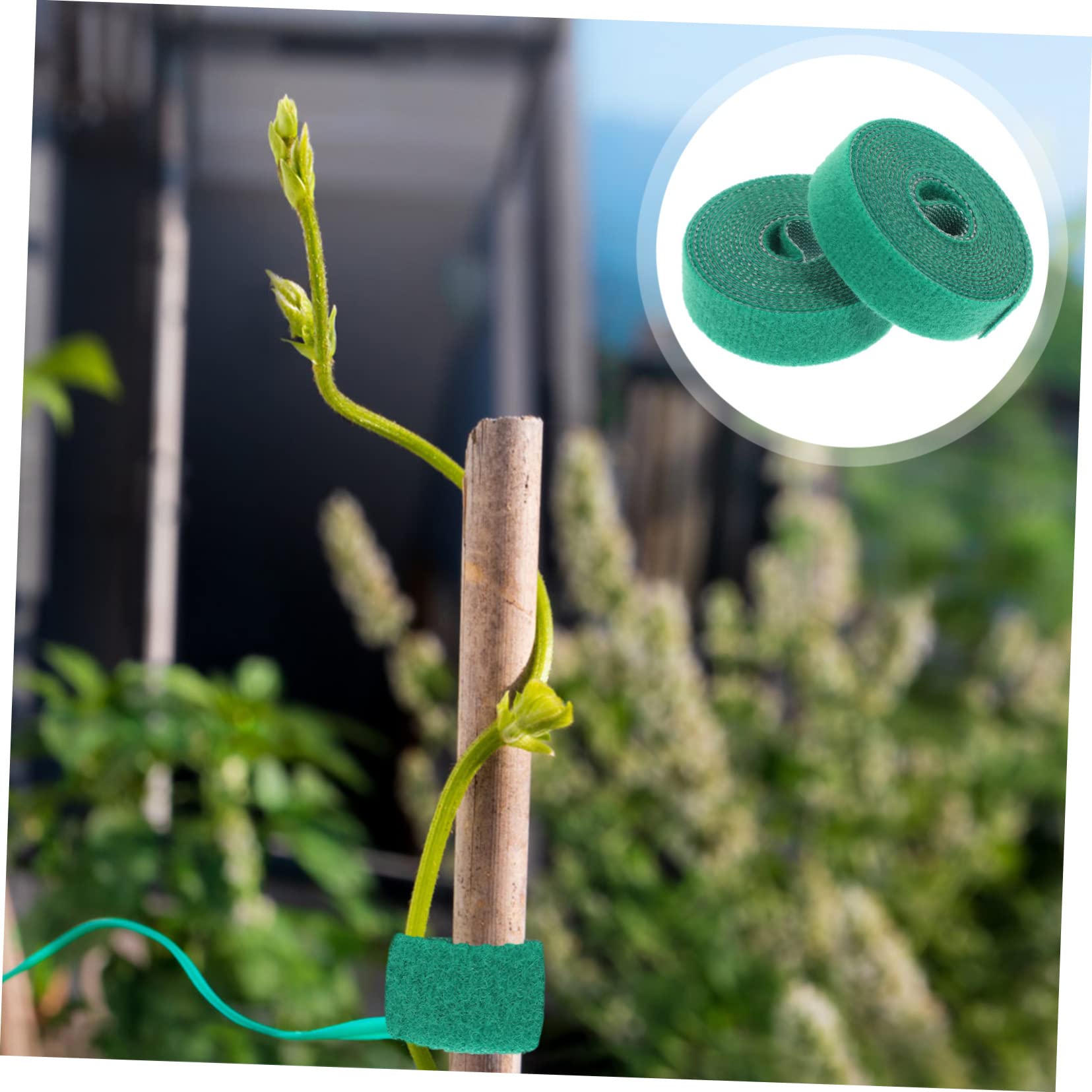Toyvian 3 Set per Giardinaggio Fissaggio per Piante Rampicanti per E Resistente E Riutilizzabile 2 Pezzi*3