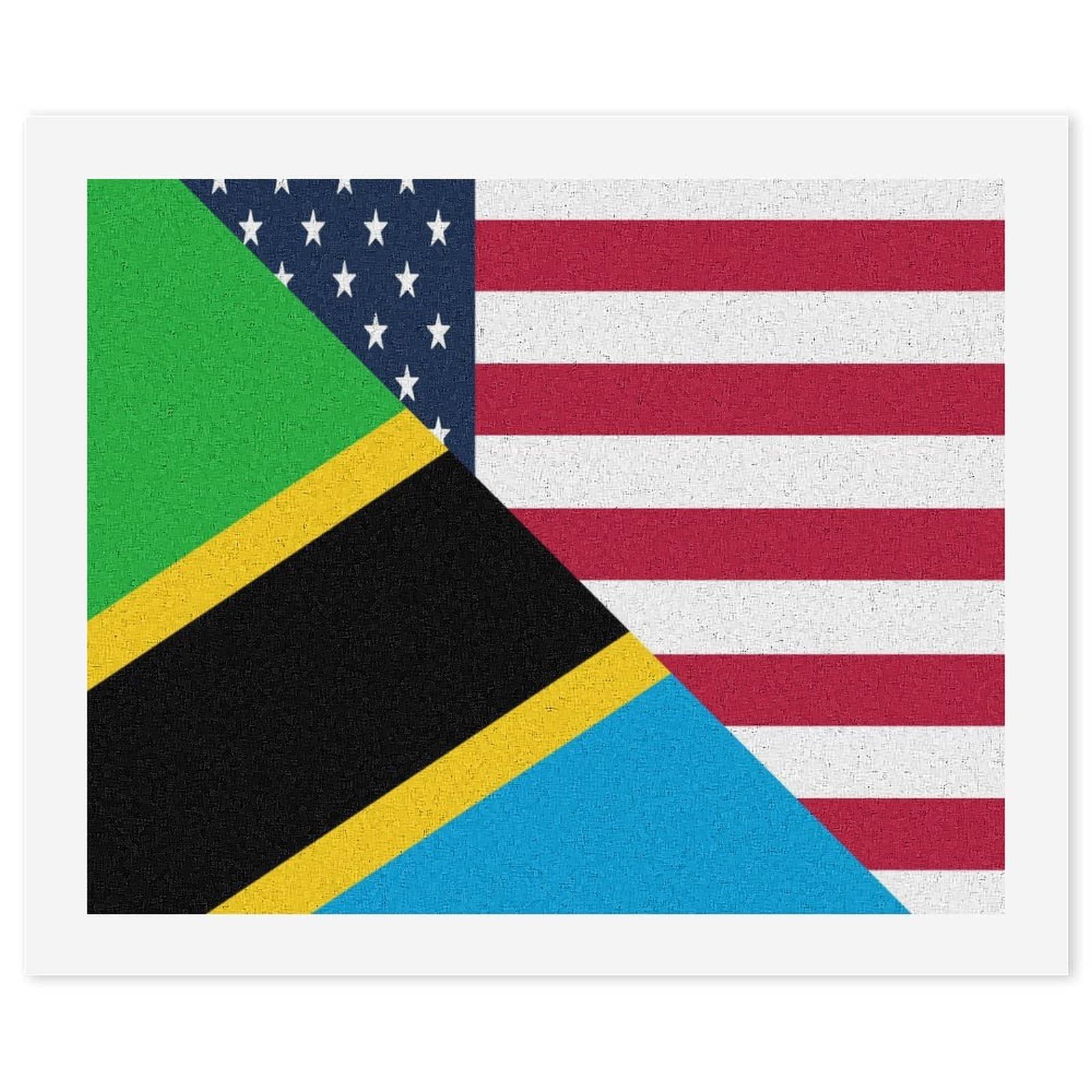 Malen nach Zahlen, Motiv: US- und Tansania-Flagge, für Erwachsene, Anfänger, bunt, DIY, einfaches Malen für Zuhause, Wanddekoration
