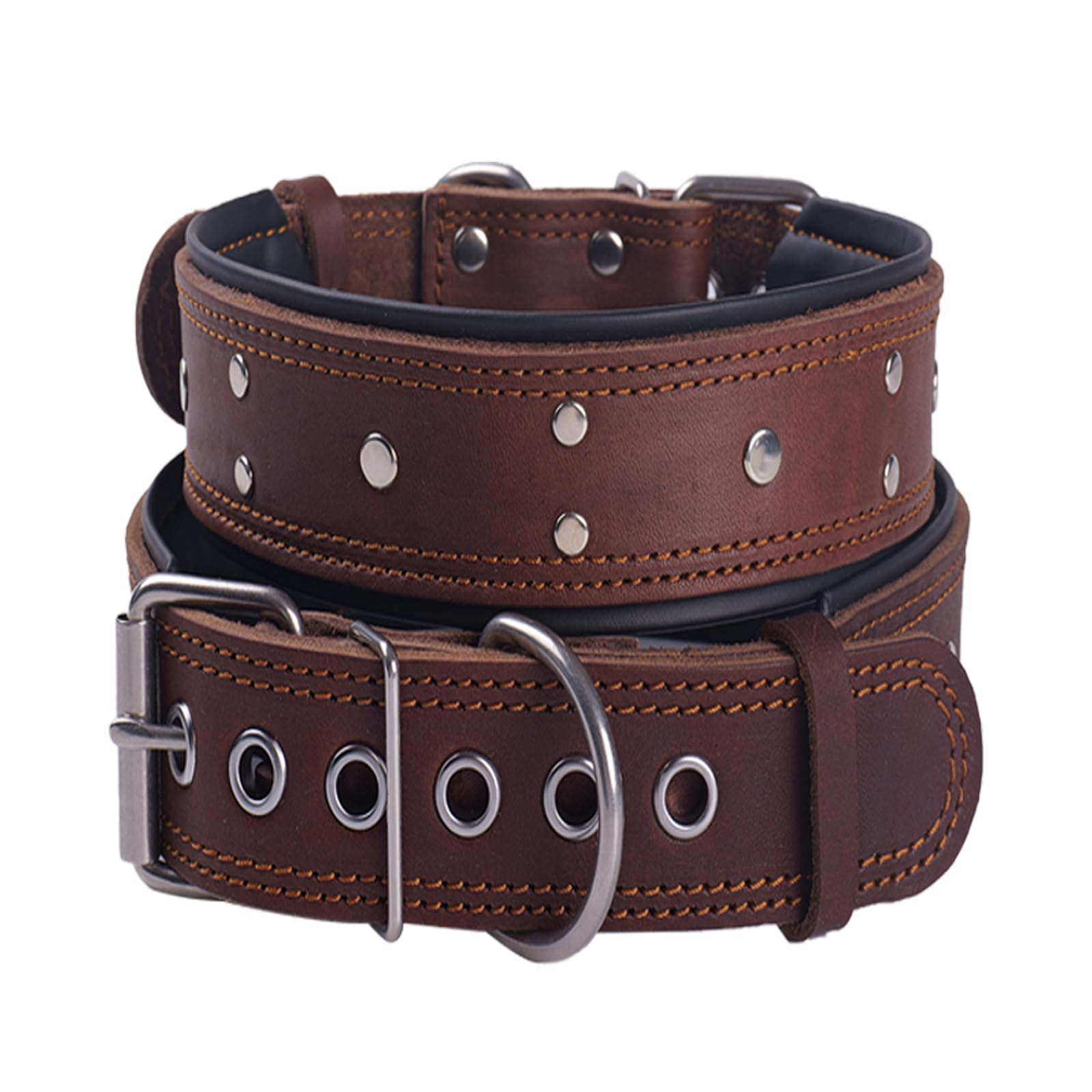 Leather Studded Dog Collar,Padded Extra Thick and 5cm Wide
