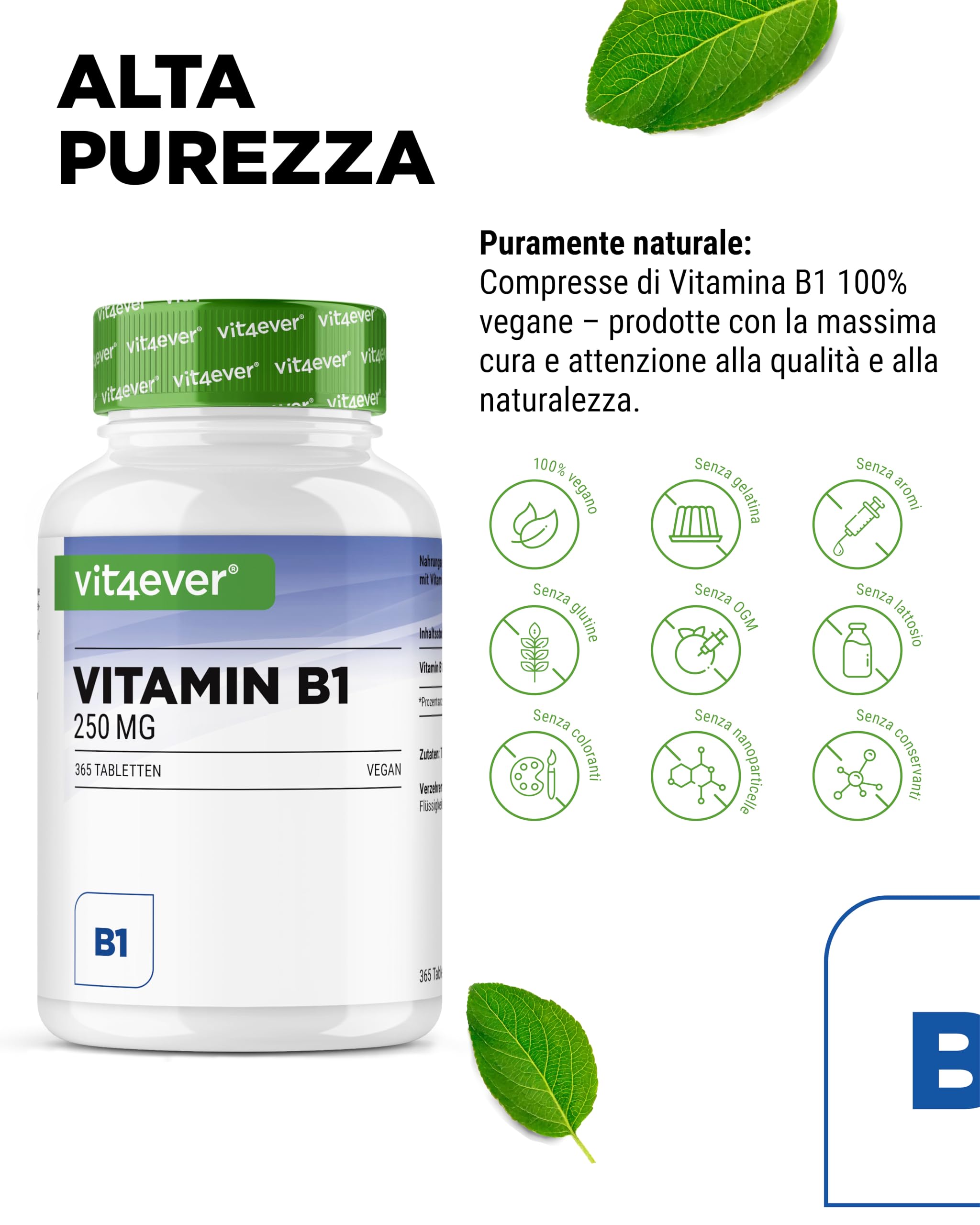 Vitamina B1 (Tiamina) - 250 mg - 365 compresse - Premium: tiamina cloridrato - Elevata biodisponibilità - Fornitura per 12 mesi - Senza additivi indesiderati - Vegan