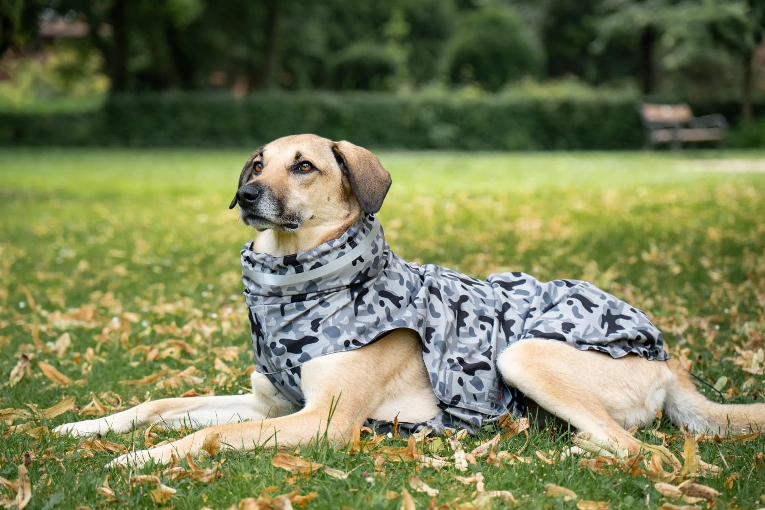 Wolters Regenjacke Camouflage | Stylischer Regenschutz im coolen Camouflage-Look Hunde | Gr. 34 (Rückenlänge 33-35 cm)