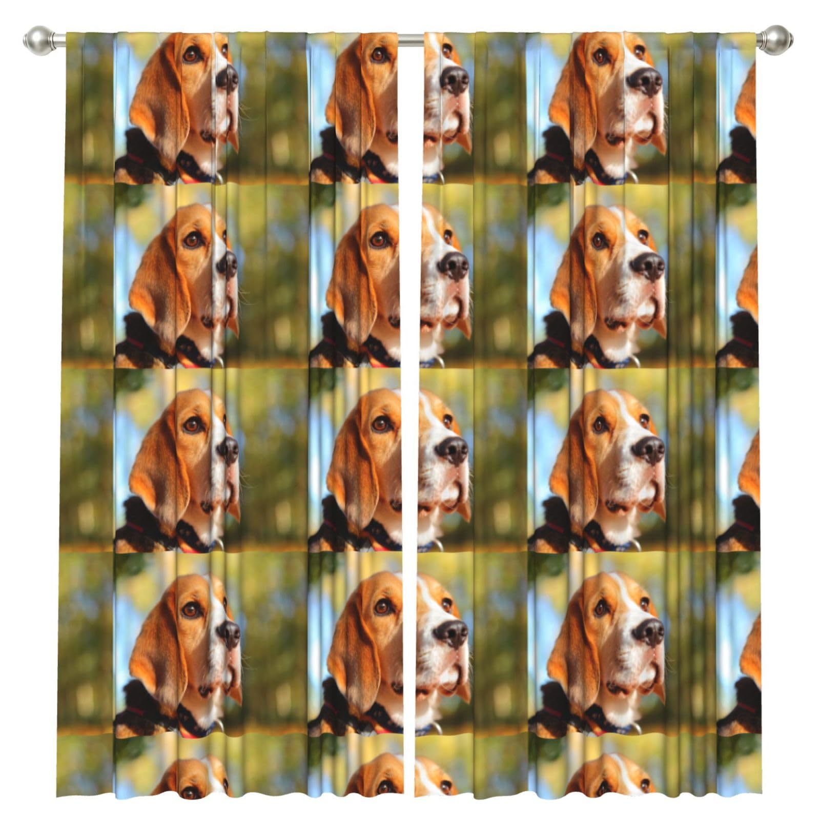 InOmak Beagle Dogs Bokeh Pets Beagle, 2 Panels Window Curtains 52 x 84 Inch Blackout Curtains for Living Room Bedroom