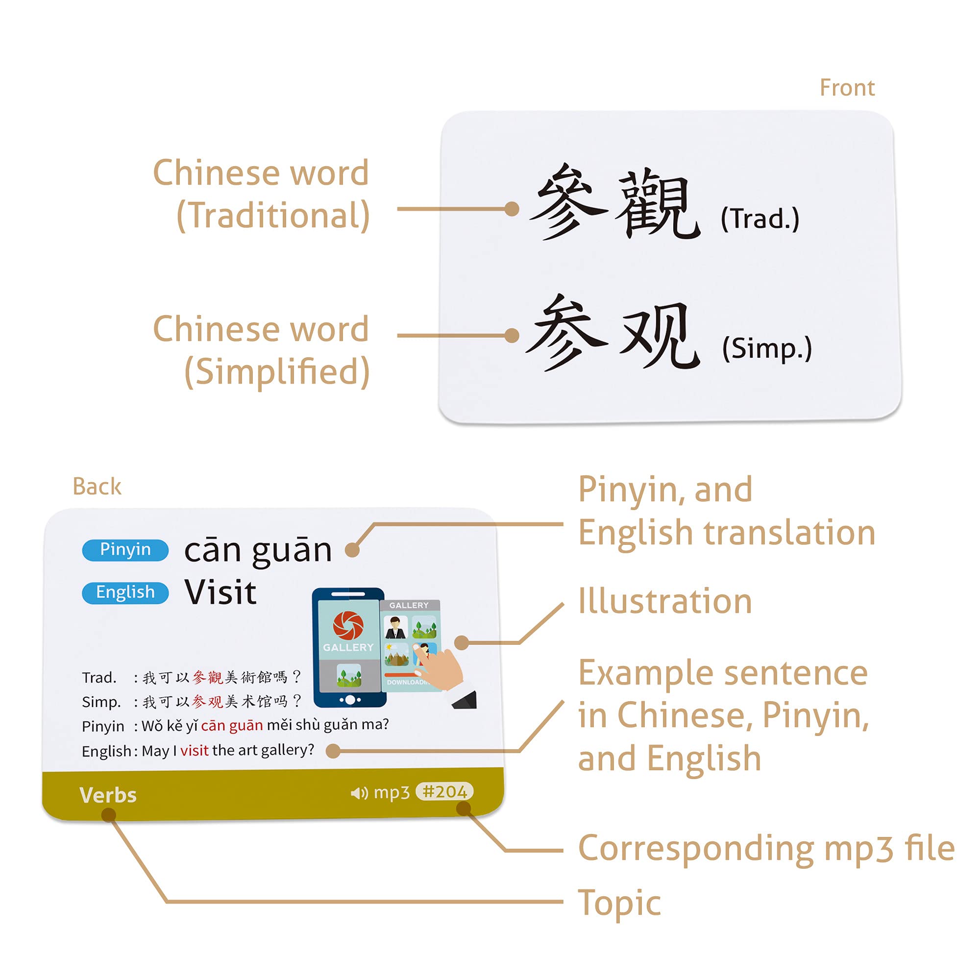 CARDDIA | Cartes de vocabulaire chinois mandarin pour débutants | Chinois traditionnel et simplifié | Exemples de phrases et audio MP3