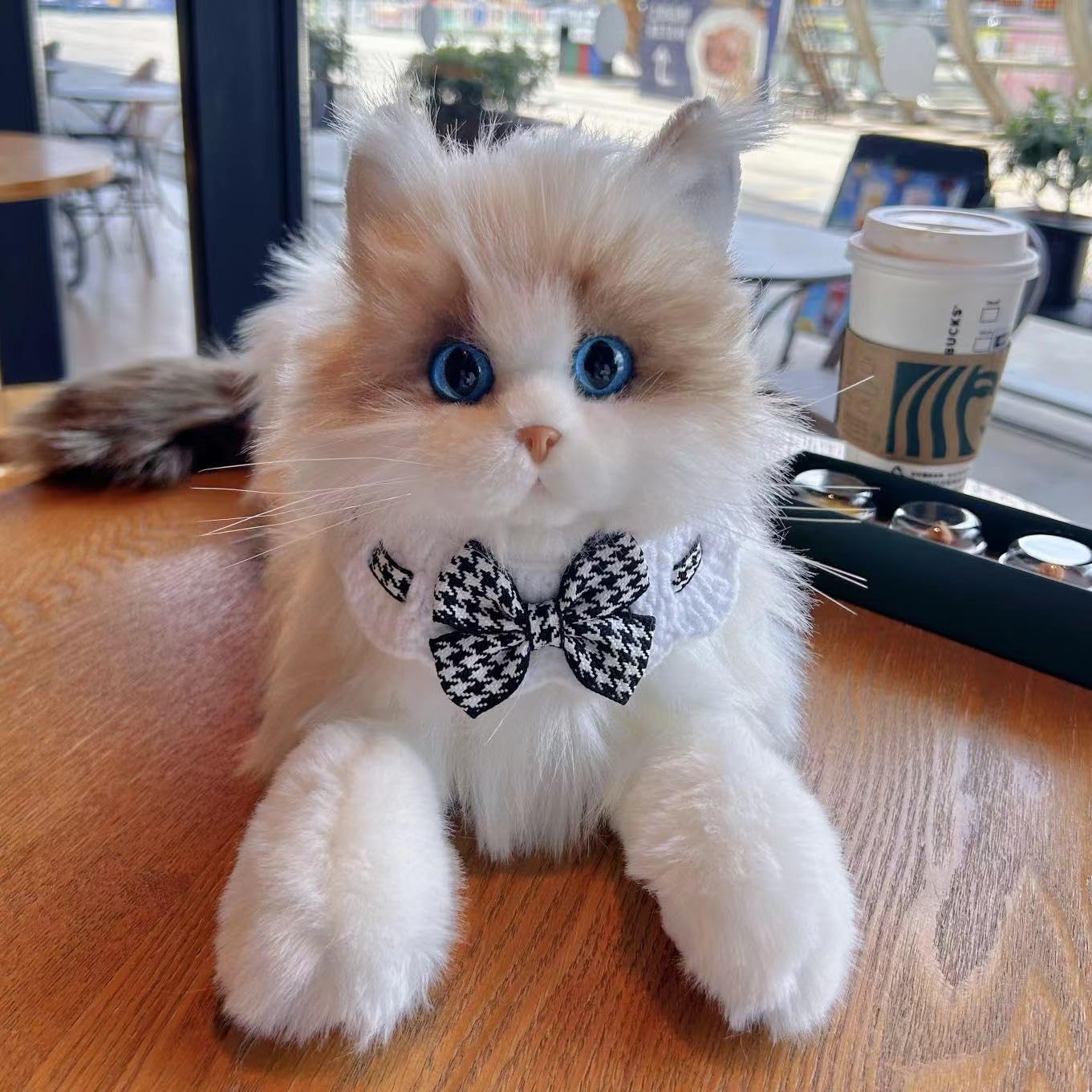 PlüSchtier Katze Niedlich Katzen Deko Realistische Ragdoll- Kuscheltier Flauschig Und Weich PlüSchtiere Stofftier Katze Geschenke FüR Jungen Und MäDchen (25 * 18cm,Standard)