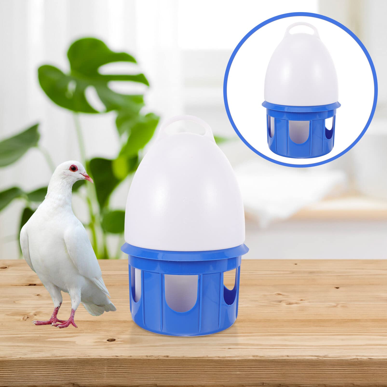 POPETPOP Vogeltränke für Tauben Zimmervogeltränke Taubentränke mit Konstantem Wasserstand Einfacher Reinigung für Papageien und Andere Vögel