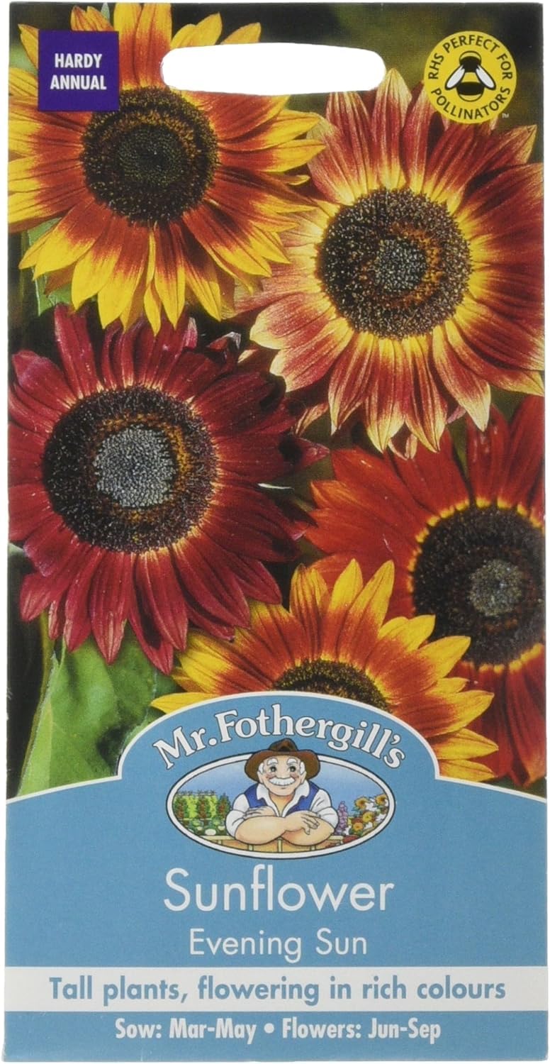 Mr. Fothergill's Evening Sun Sunflower Seeds