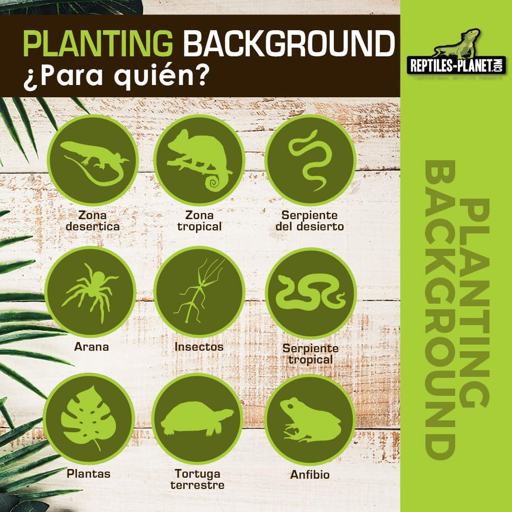 Reptiles Planet – Imagen de Fondo de Coco para terrarios para Planter 30 x 30 x 1 cm