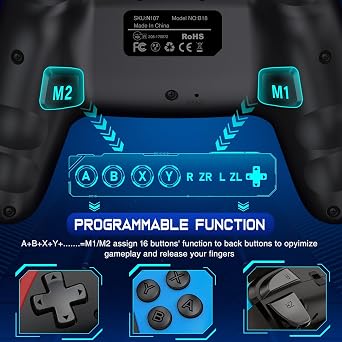 Fanxieast Upgraded Wireless Controller for Nintendo Switch/Switch 2/Lite/OLED,Programmable Switch Pro Controller with with a Mouse Touch Feeling on Back Buttons& Wake-up,Programmable, Turbo Function