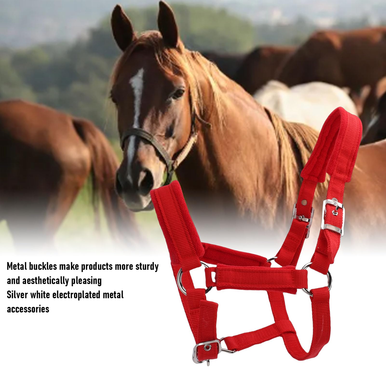 Cavezze per cavallo regolabili in nylon morbido e resistente, rosse, capezzale da equitazione con cinturino in nylon PP largo 25 mm con fibbia in metallo per cavallo medio, per