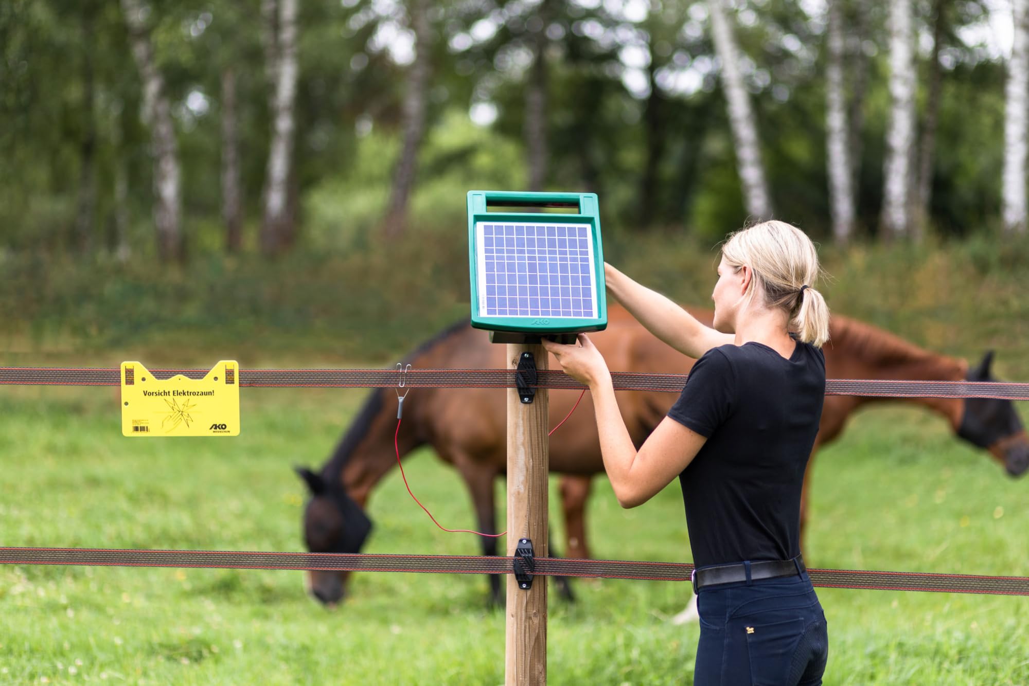 AKO Sun Power S 1000, Weidezaungerät Expert, 12 V Solargerät, Input 1.40 J, max. Spannung 11.000 V, für Zäune bis 10 km, 5 Jahre Garantie, Made in Germany