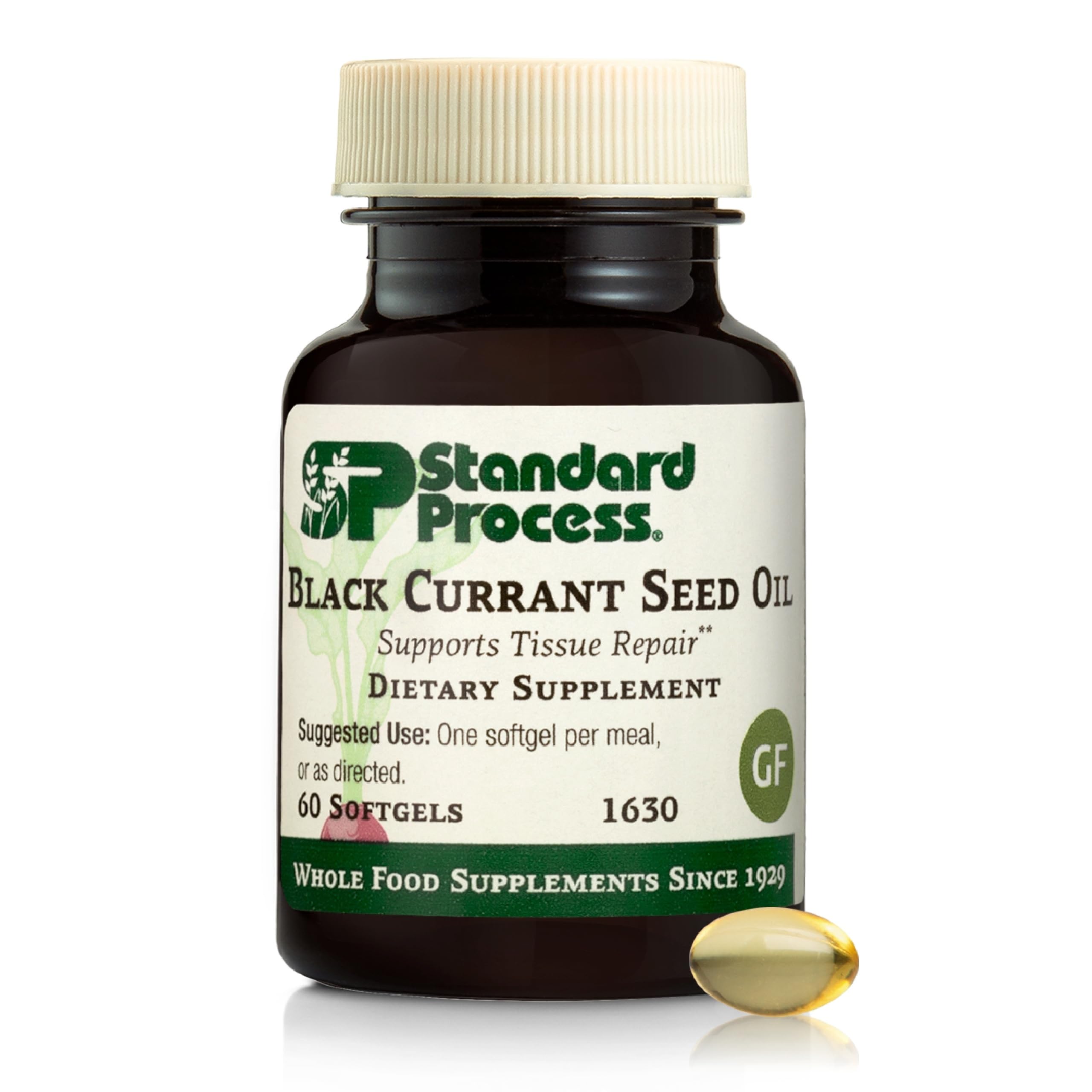 Standard Process Black Currant Seed Oil, Tissue Repair Support, 60 Softgels 60 Count (Pack of 1)