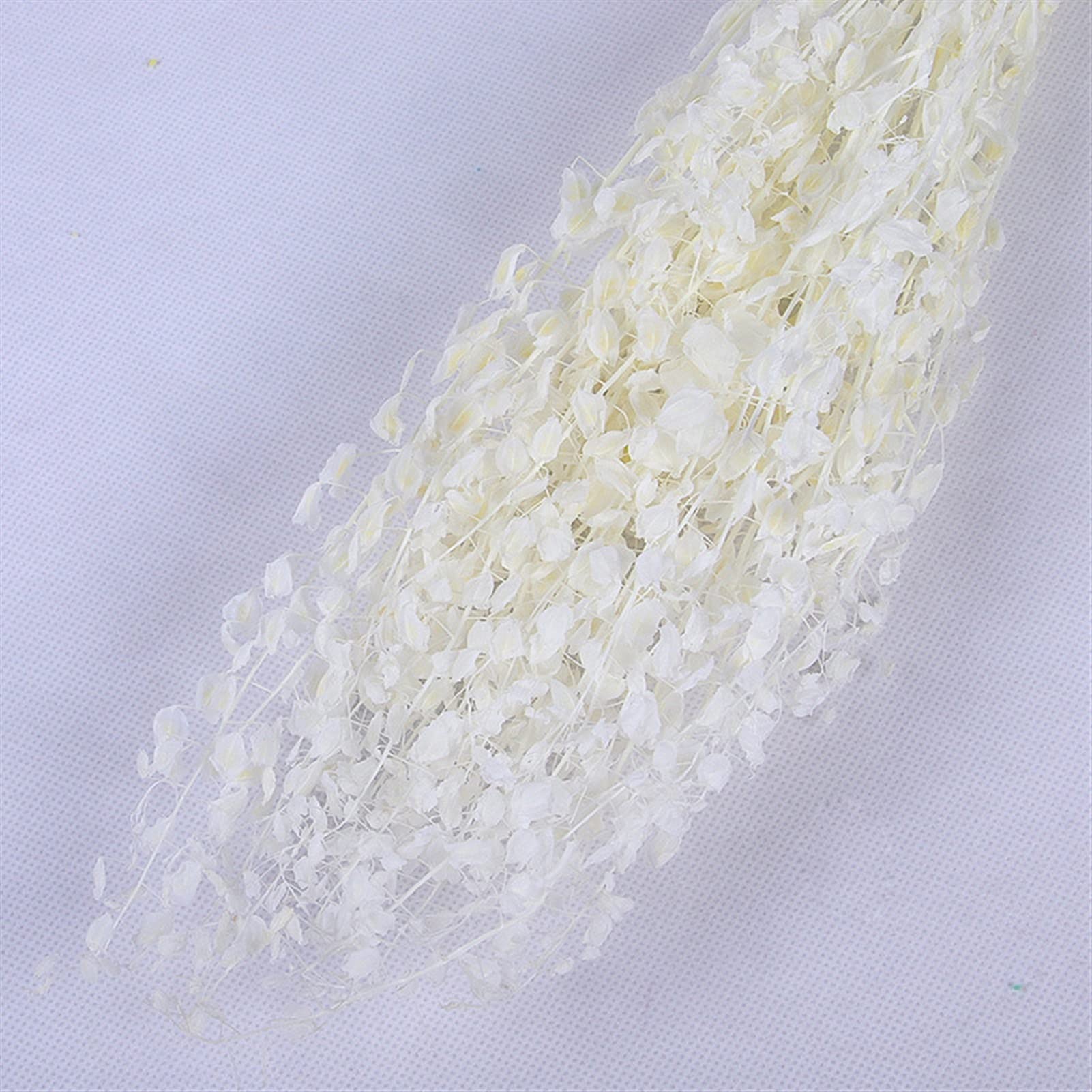 Fleurs séchées naturelles 60-80g, bouquet de fleurs de ventilateur vert séché naturel, plante réelle éternelle arrange fleurs sèches pour la décoration de la table de mariage Décoration de fête de mar