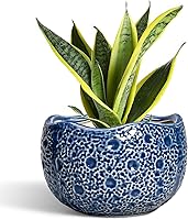 Vista 20 de Macetas de Cerámica Thirtypot - Maceta de 4 Pulgadas con Agujero de Drenaje, Macetas Pequeñas para Plantas de Interior y Exterior, Maceta Redonda