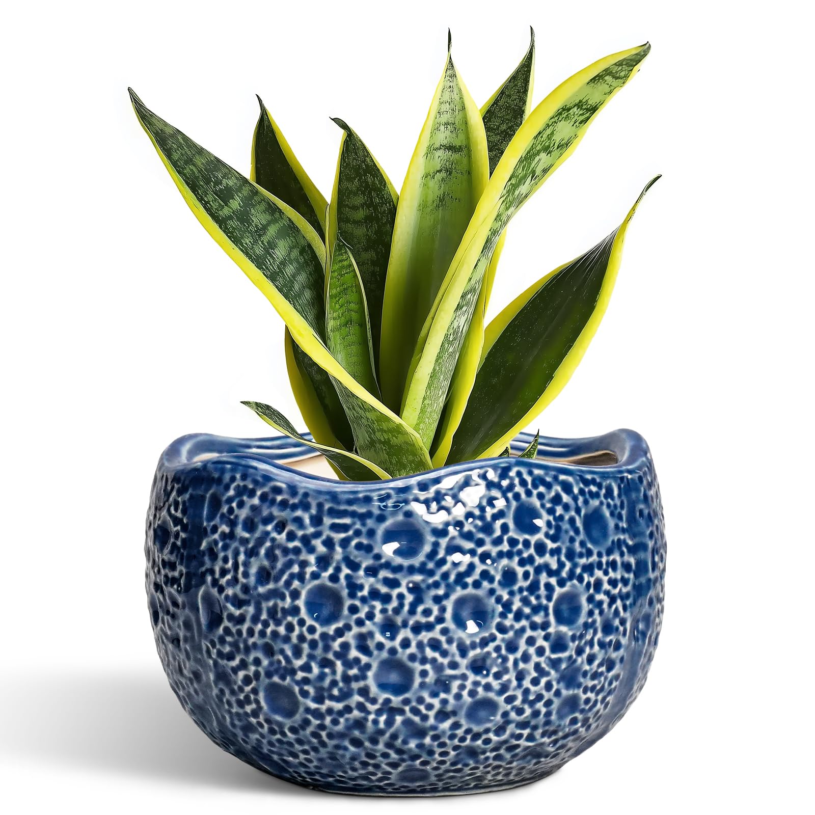 Thirtypot 8 Inch Moon Ceramic Planter