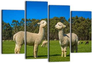 Canvas Wall Art for Bedroom 4 Panels Alpacas from Adelaide South Australia Framed Art Prints Wall Decor for Bathroom Ready to Hang Western Home Decor Office Bar