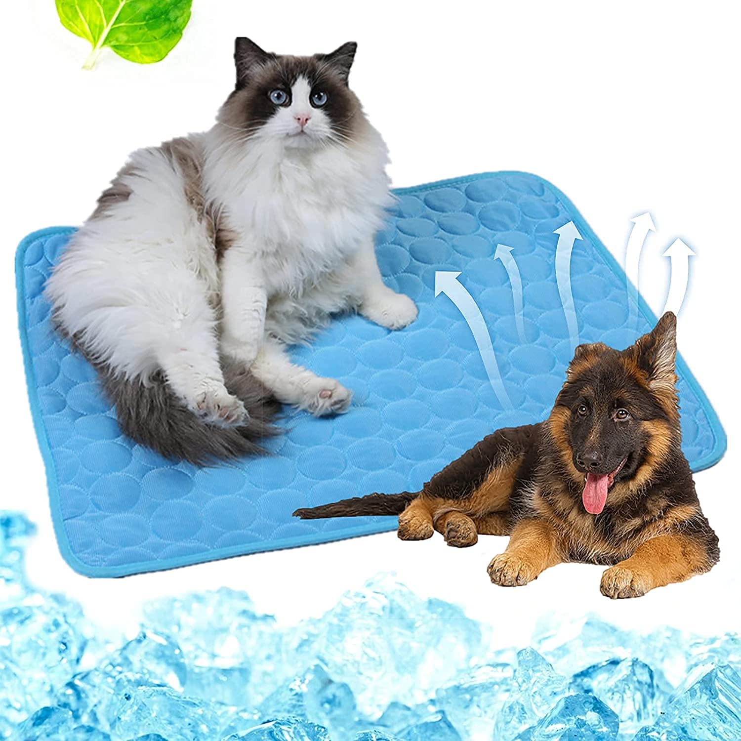 Pet Heating Pad By Snuggle Safe With Pet Bowl Microwavable